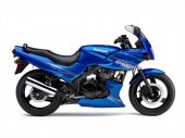 2010 Kawasaki Ninja 500R photo